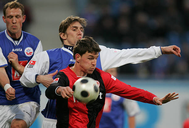 带来了新的 带来了新的