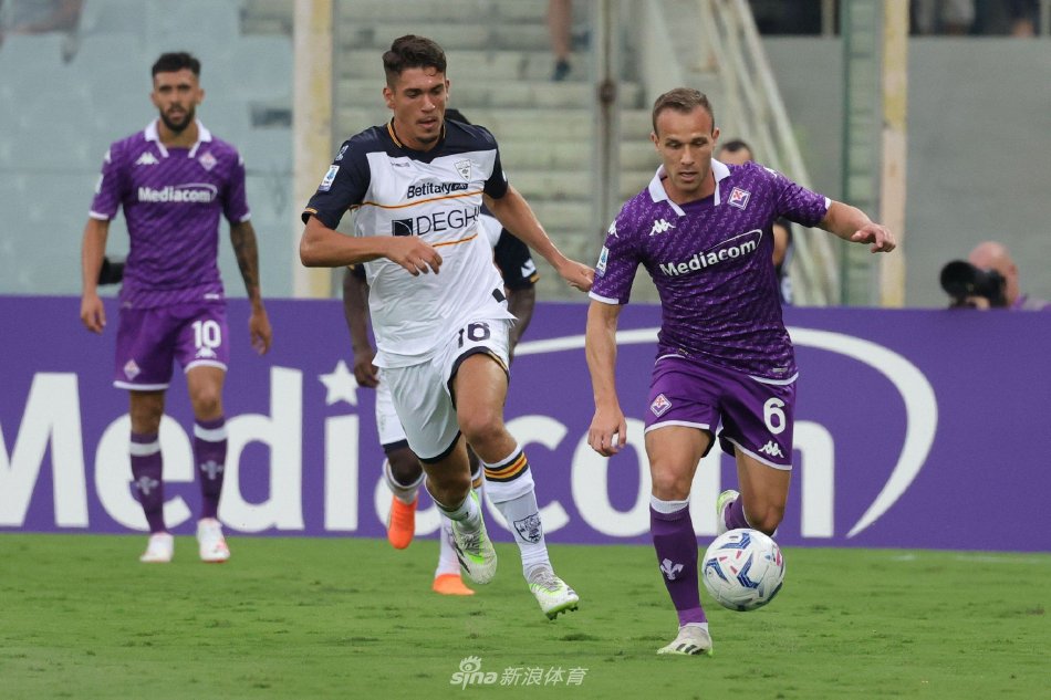 打法做了针 打法做了针